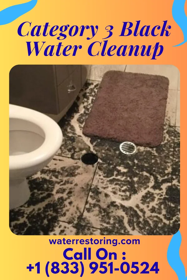 Category 3 Black Water Cleanup in Texhoma, OK