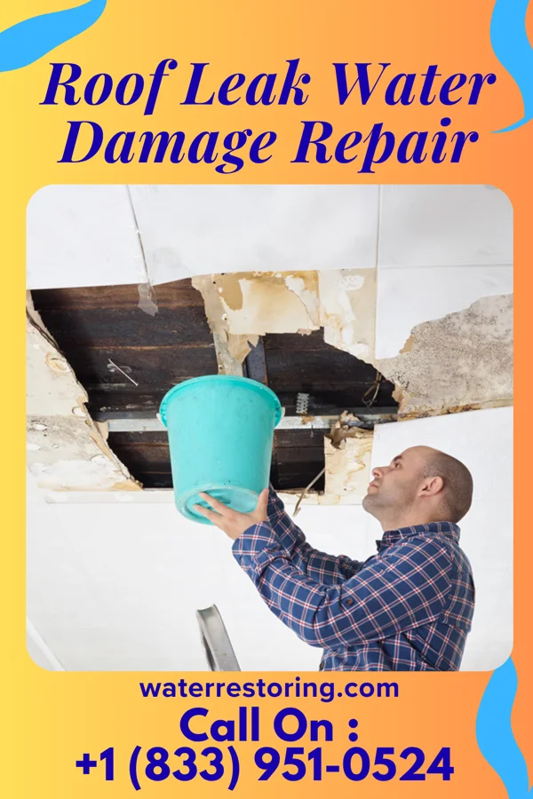 Roof Leak Water Damage Repair in Texhoma, OK